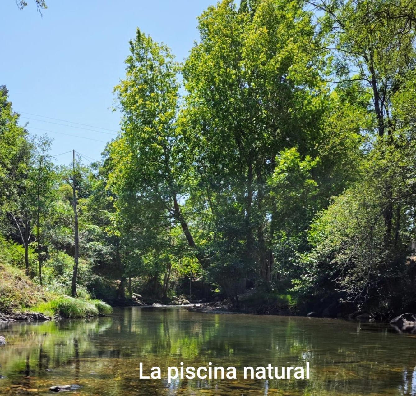 El Nial De Los Pinos Ojedo Luaran gambar