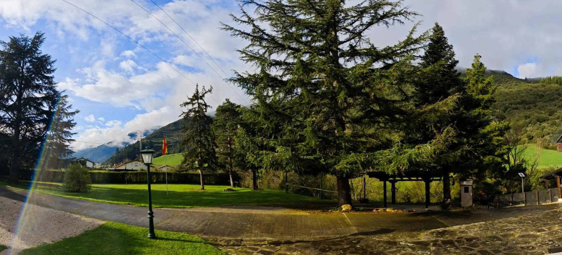 El Nial De Los Pinos Ojedo Luaran gambar
